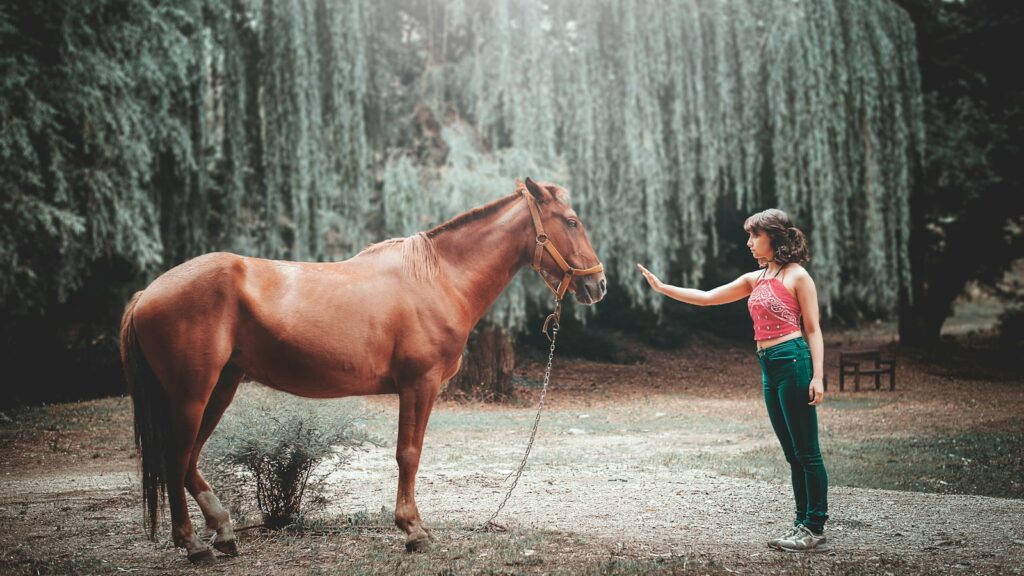 woman attempting to touch horse's face under tall tree during daytime