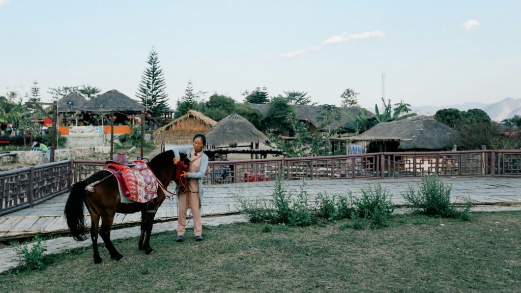woman holding black horse beside fence