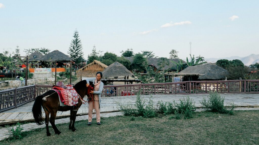 woman holding black horse beside fence