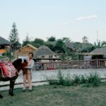 woman holding black horse beside fence