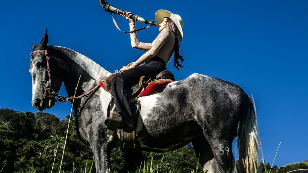 a person on a horse with a stick in their hand