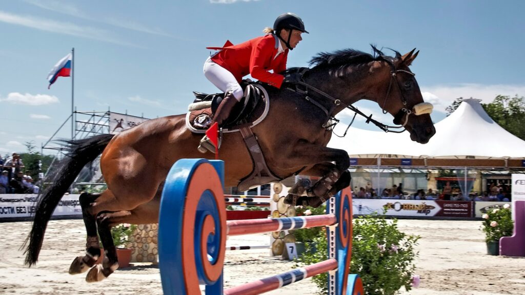 brown horse with red and white helmet riding on brown horse during daytime
