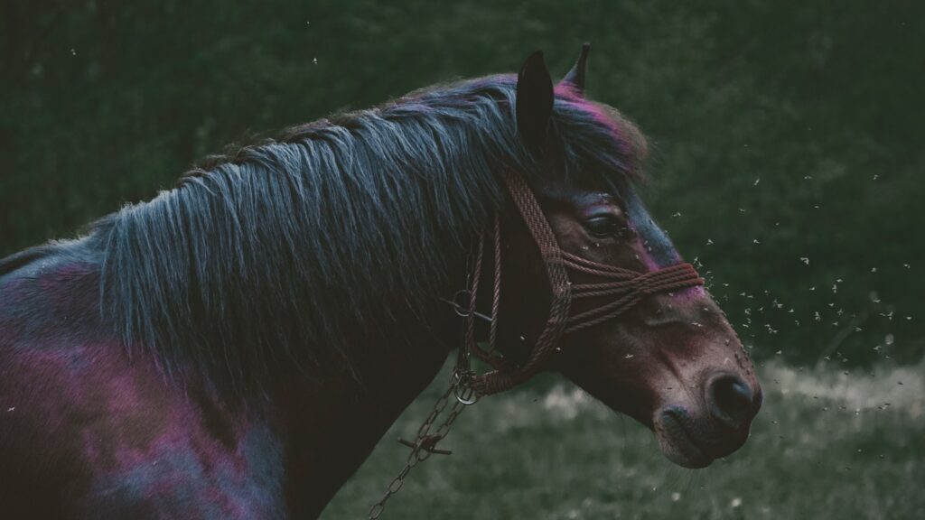 a horse with a saddle