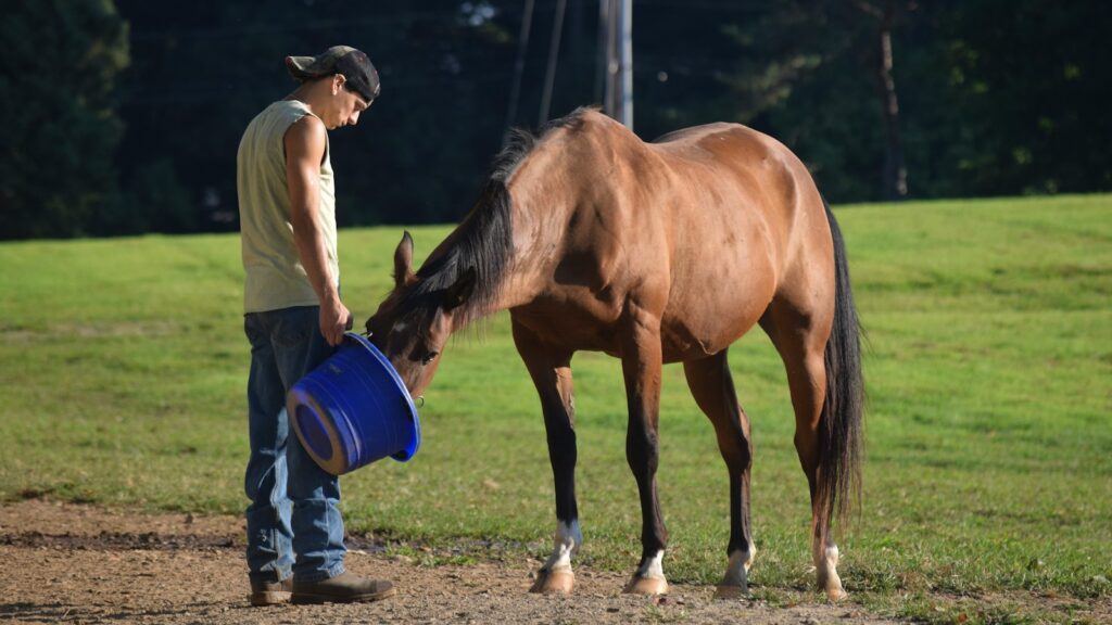a person with a bucket and a horse