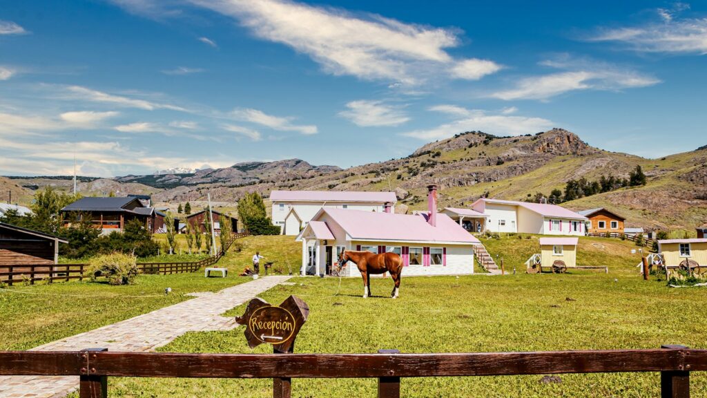 a brown horse standing on top of a lush green field