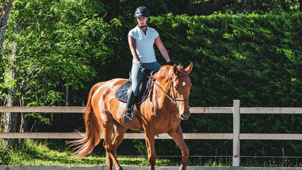 man in white t-shirt riding brown horse during daytime
