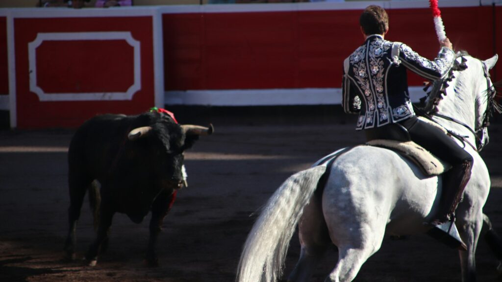 man in black and white long sleeve shirt riding white horse