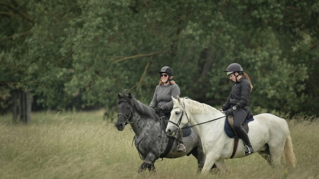 man in black leather jacket riding white horse during daytime