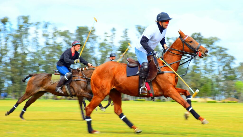 2 men riding horses on green grass field during daytime