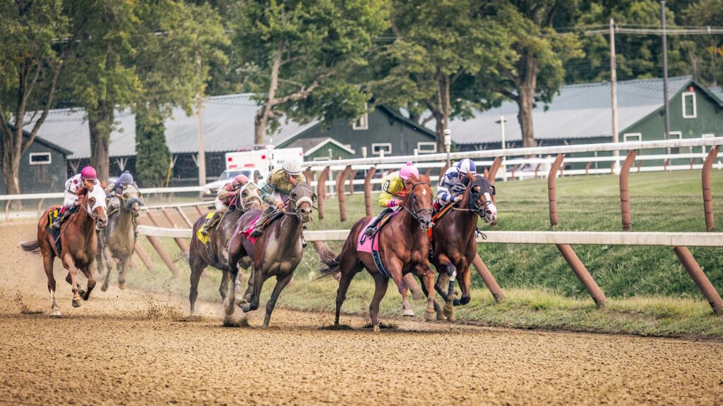 people riding horses on brown field during daytime