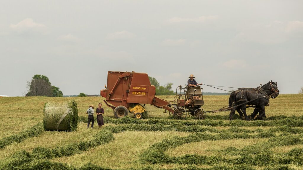 woman standing near brown combine harvester