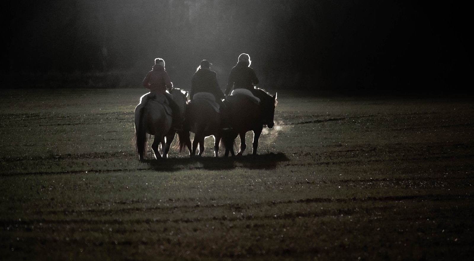 people riding horses