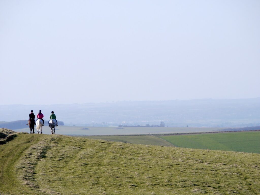 Men riding horse