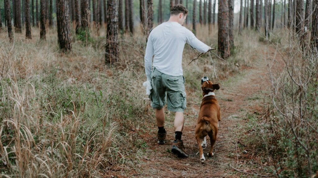 person standing near dog walking on pathway during daytime