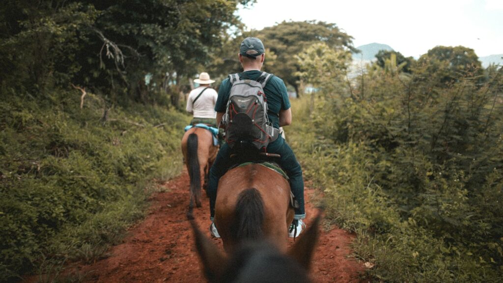man in blue and white shirt riding brown horse during daytime