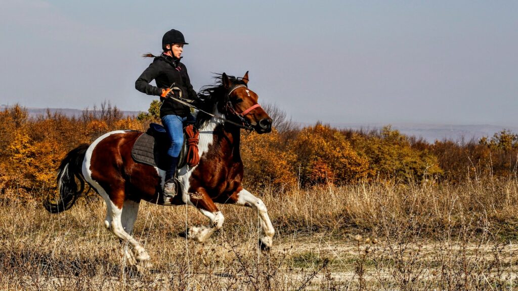 person riding on horse