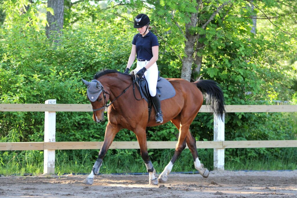 Woman in white shirt riding brown horse during daytime