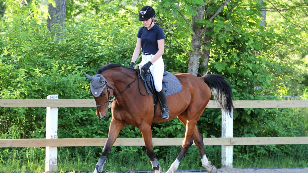woman in white shirt riding brown horse during daytime