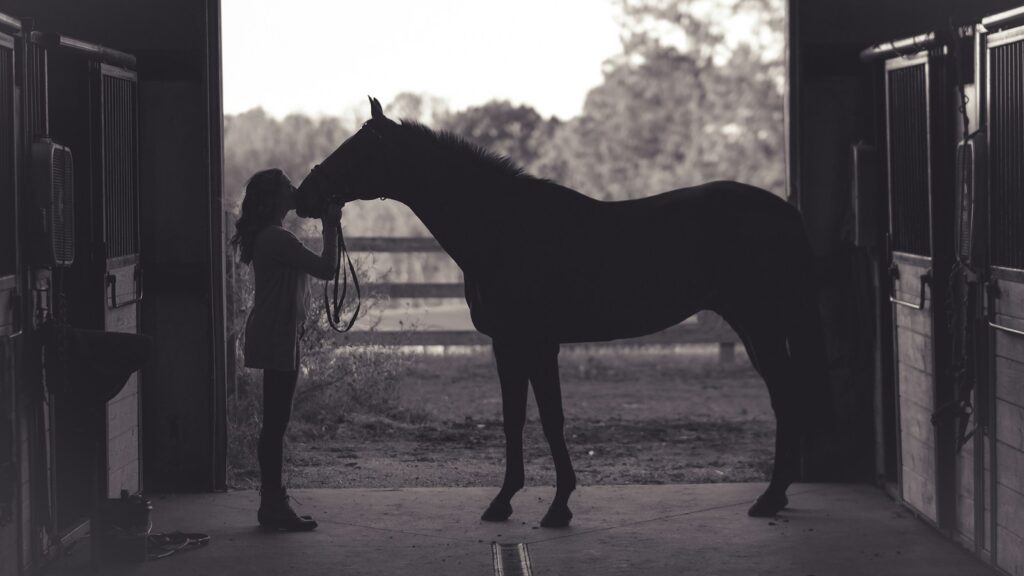woman kissing horse