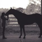 woman kissing horse