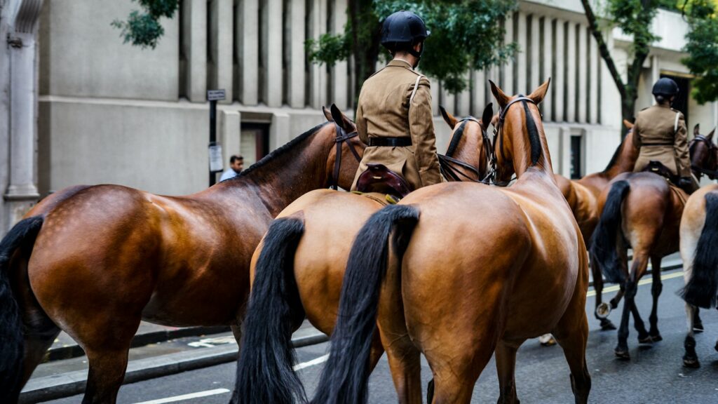 man in black and brown coat riding brown horse during daytime