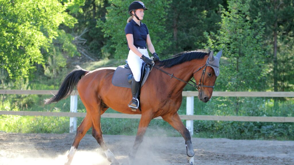 woman in blue and white long sleeve shirt riding brown horse during daytime