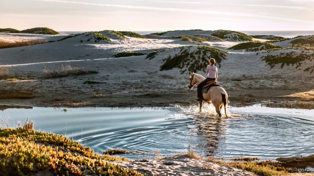 woman riding horse
