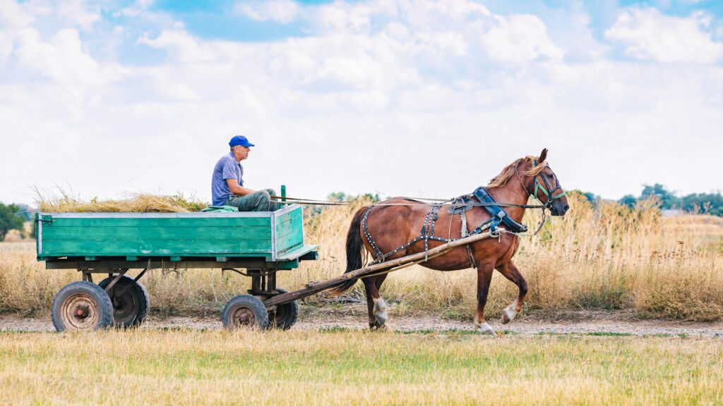 a man driving a horse carriage