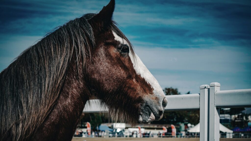 a brown horse standing next to a white fence