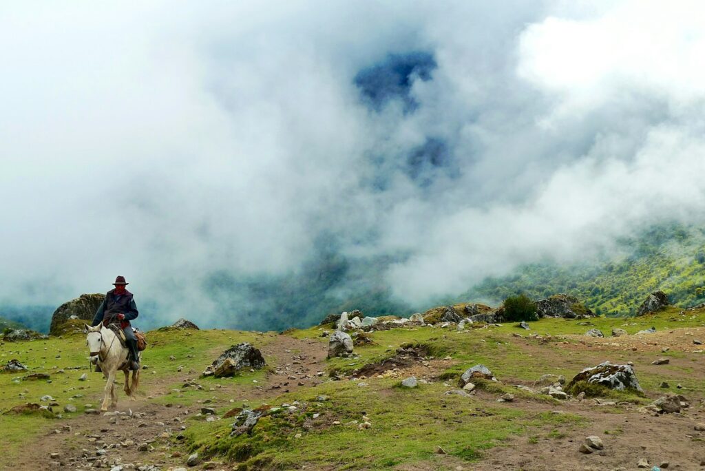 Man riding on white horse on the hill