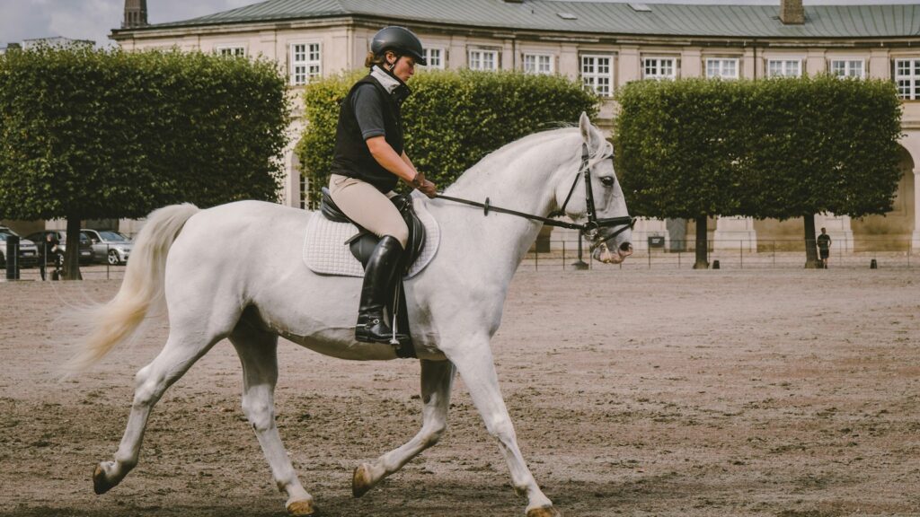 equestrian on field near building at daytime