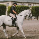 equestrian on field near building at daytime