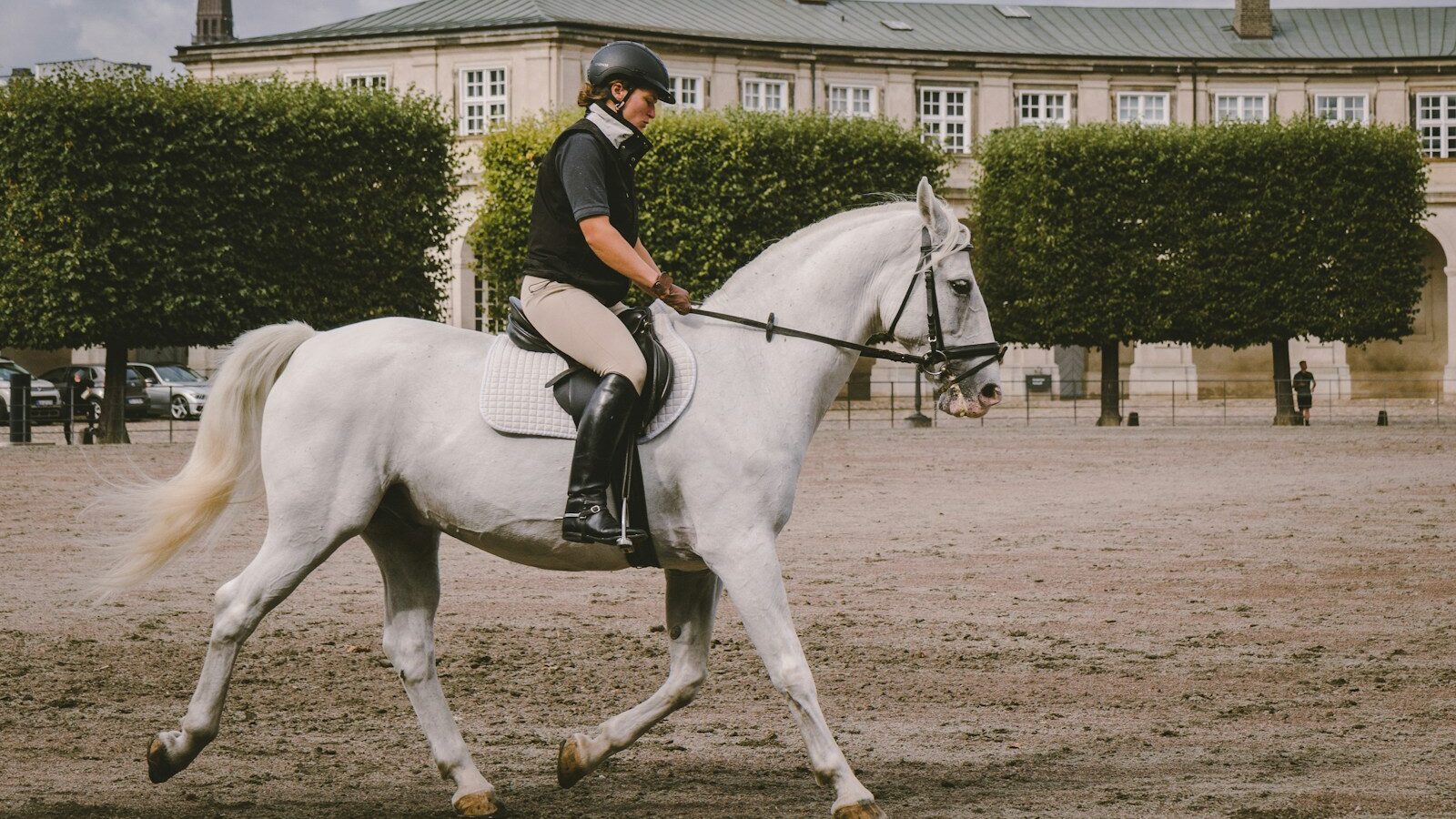 equestrian on field near building at daytime