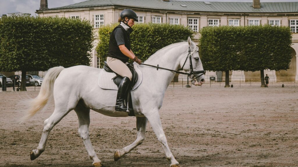 equestrian on field near building at daytime