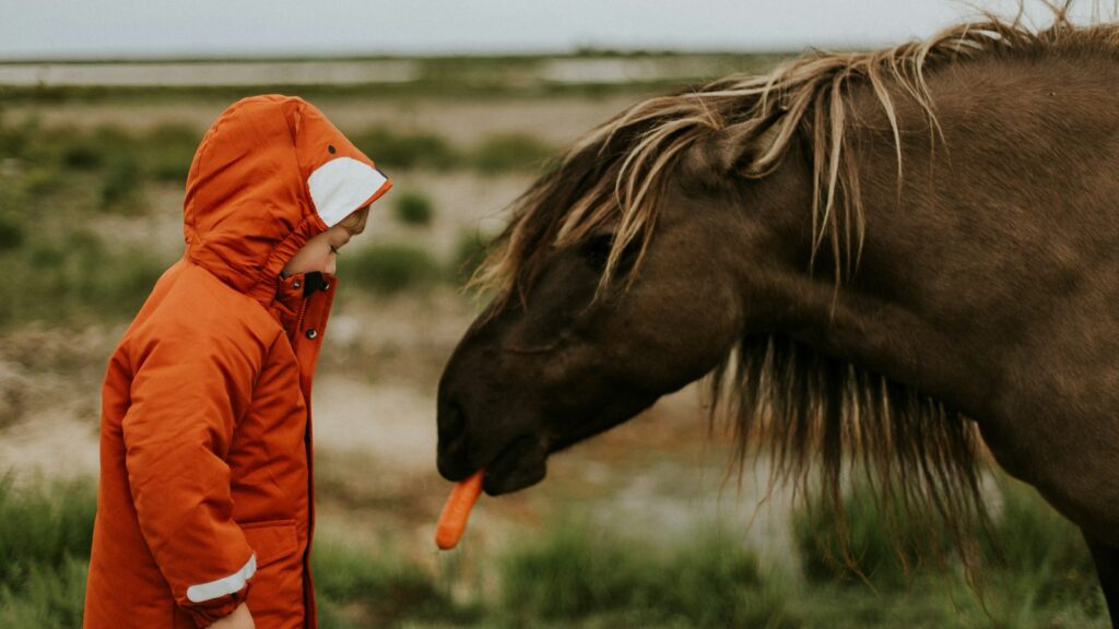 selective focus photography of toddler standing in front of horse