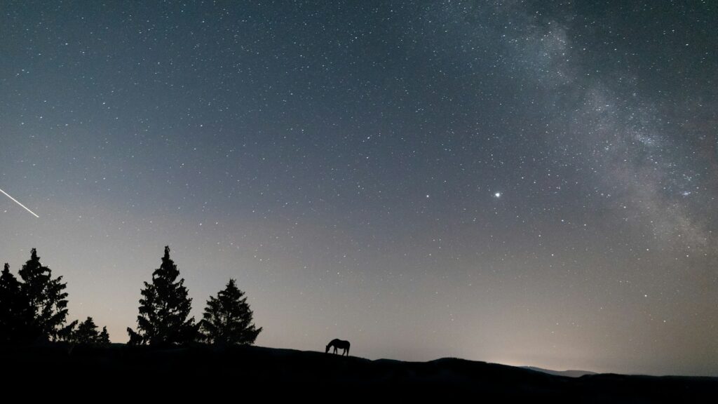 the night sky with stars and a horse in the foreground