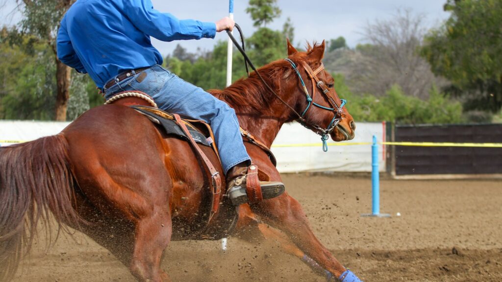 man in blue jacket riding brown horse during daytime