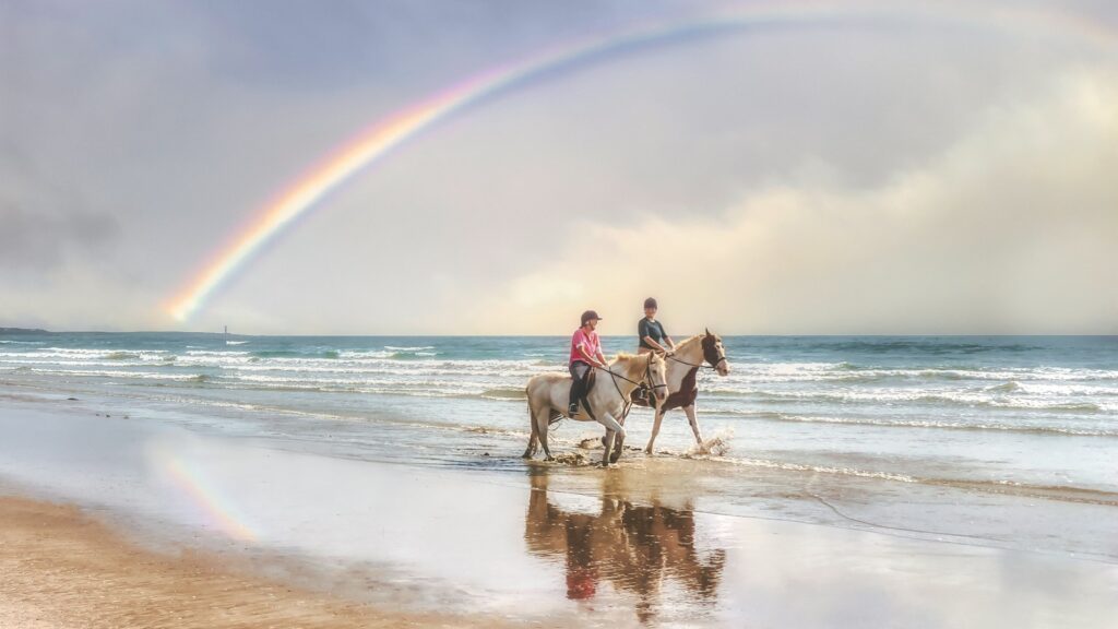 2 men riding horses on beach during daytime