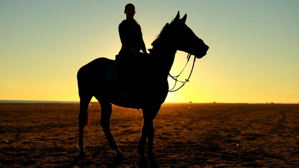 silhouette photography of person riding horse
