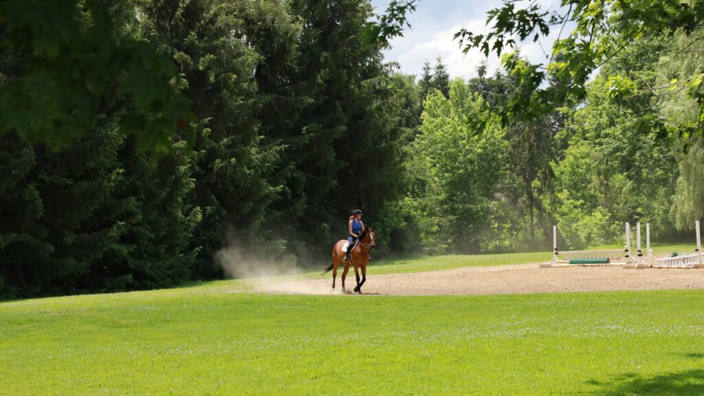 man riding horse on green grass field during daytime