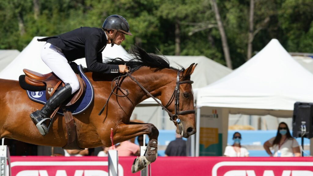 man in white and black long sleeve shirt riding brown horse during daytime