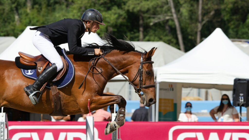 man in white and black long sleeve shirt riding brown horse during daytime
