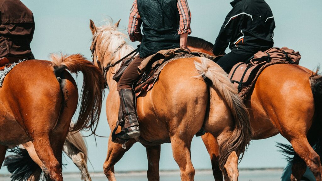 men riding horse