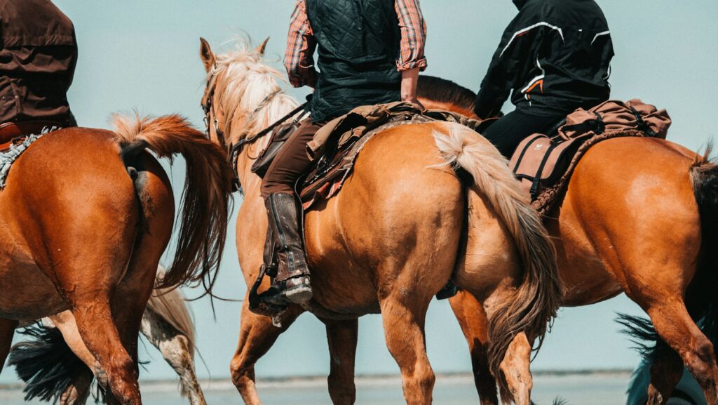 men riding horse