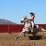 woman riding horse during daytime