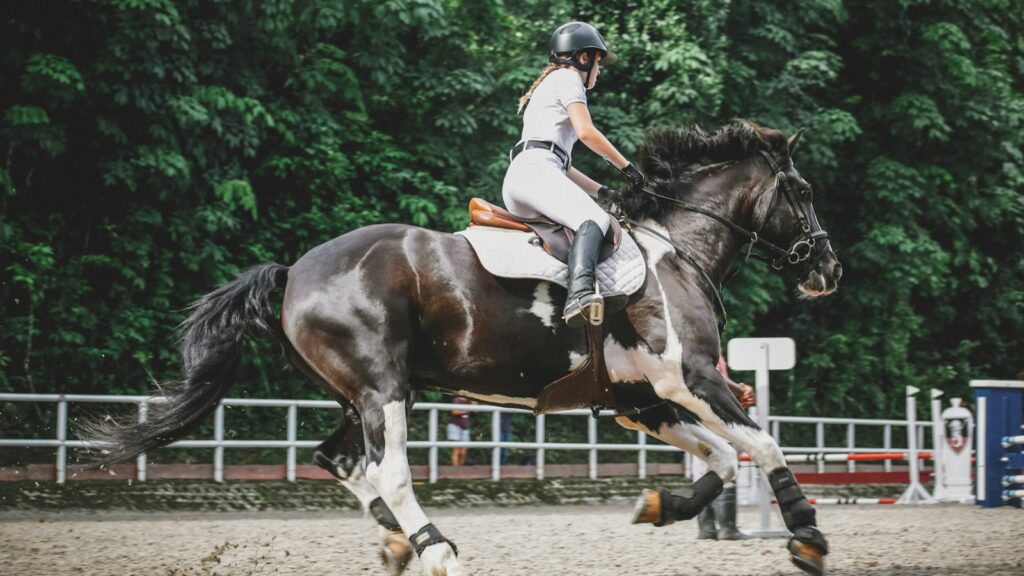 woman riding on horse near trees