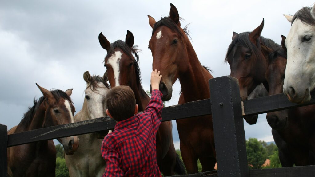 woman in red and white checkered dress shirt standing beside brown horse during daytime
