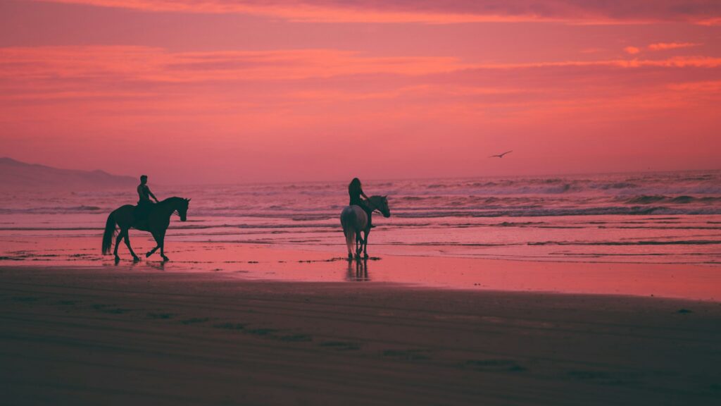 two person riding horses on seashore