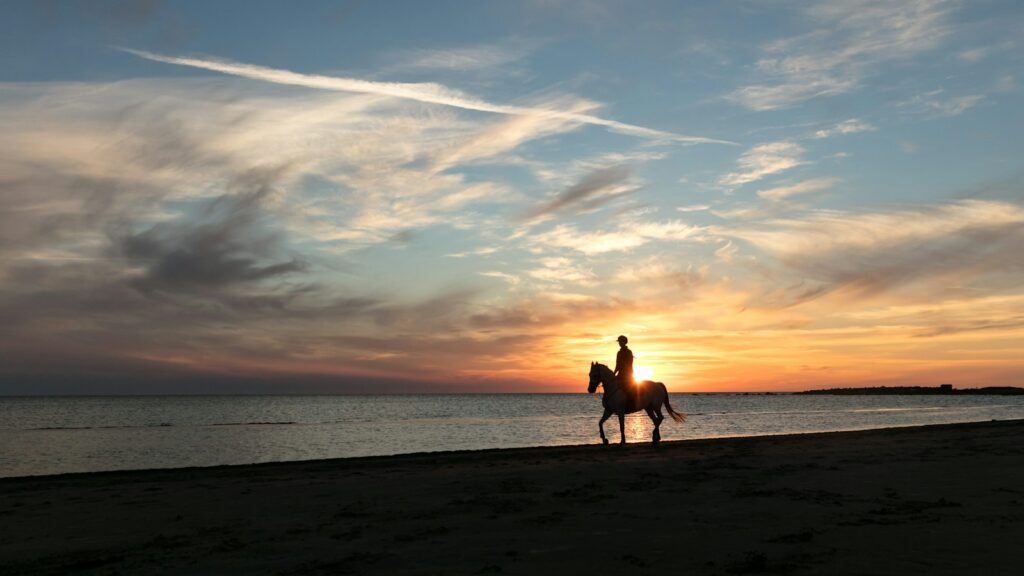 person riding horse near body of water during sunset