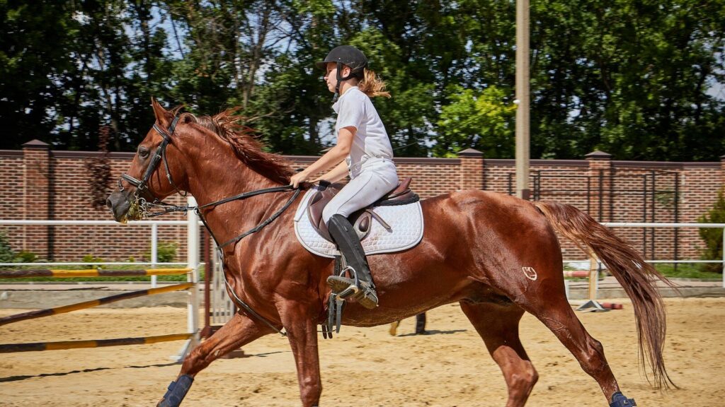 woman riding horse